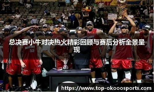 总决赛小牛对决热火精彩回顾与赛后分析全景呈现